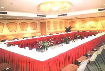 �Ƶ��������